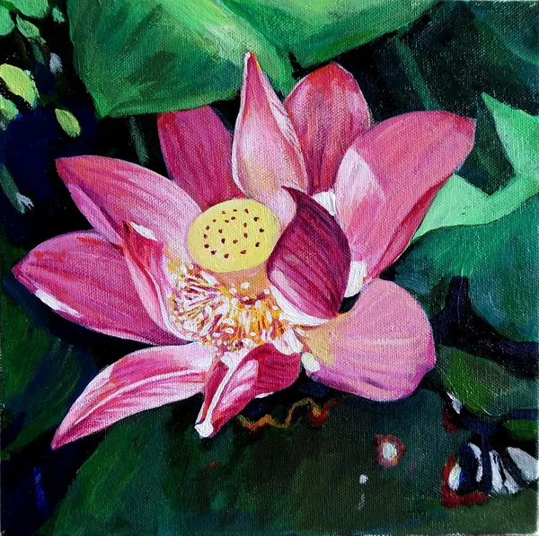綻放 In full bloom
